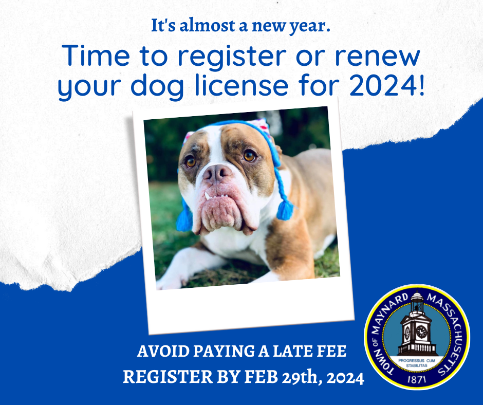 Time to renew your dog license for 2024!