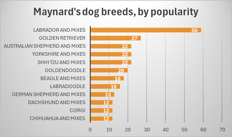 Most popular dog breeds in Maynard, by type