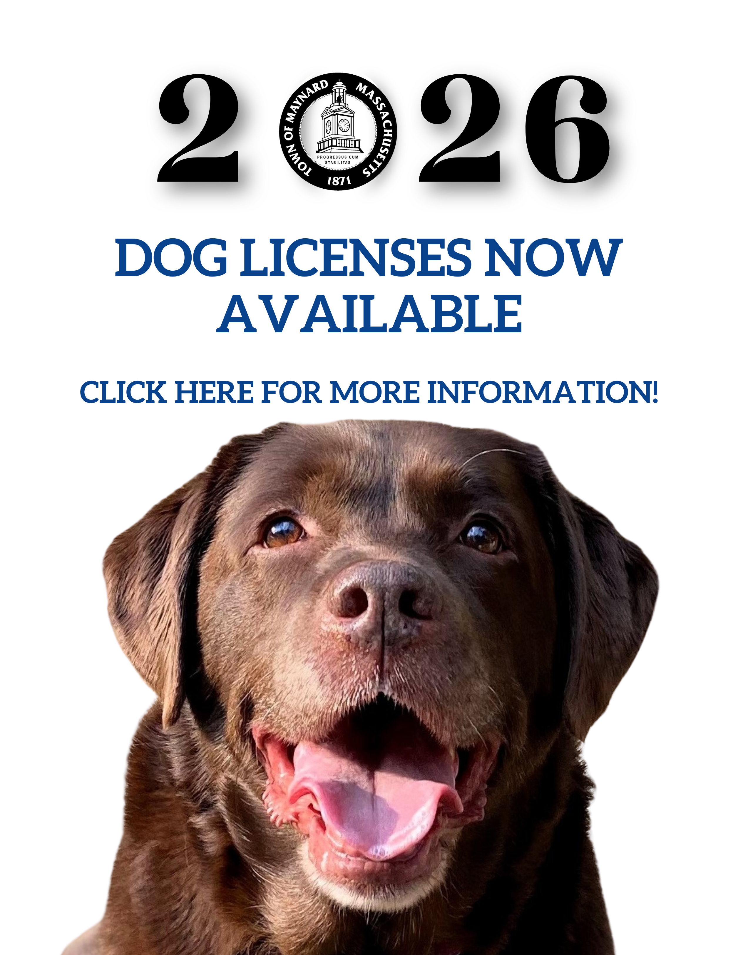 2026 Dog Licenses Now Available!  